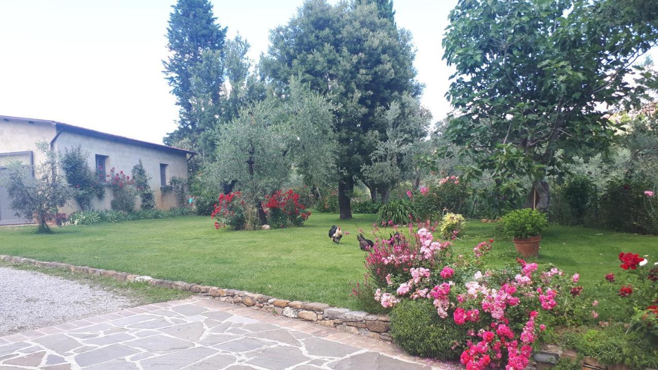 B&B L'Oliveto Lucignano Dış mekan fotoğraf